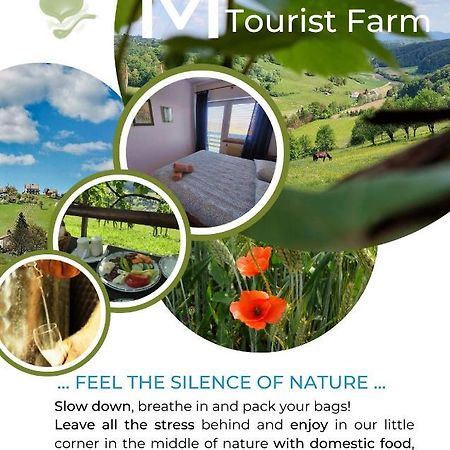 Masnec Tourist Farm Villa Miljana Exterior photo
