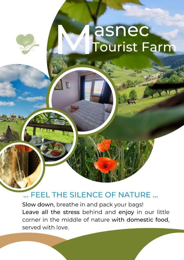 Masnec Tourist Farm Villa Miljana Exterior photo